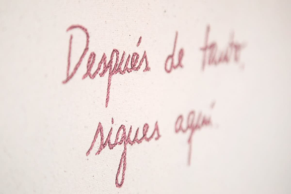 Catalina Torres, Después de tanto (After everything), 2018