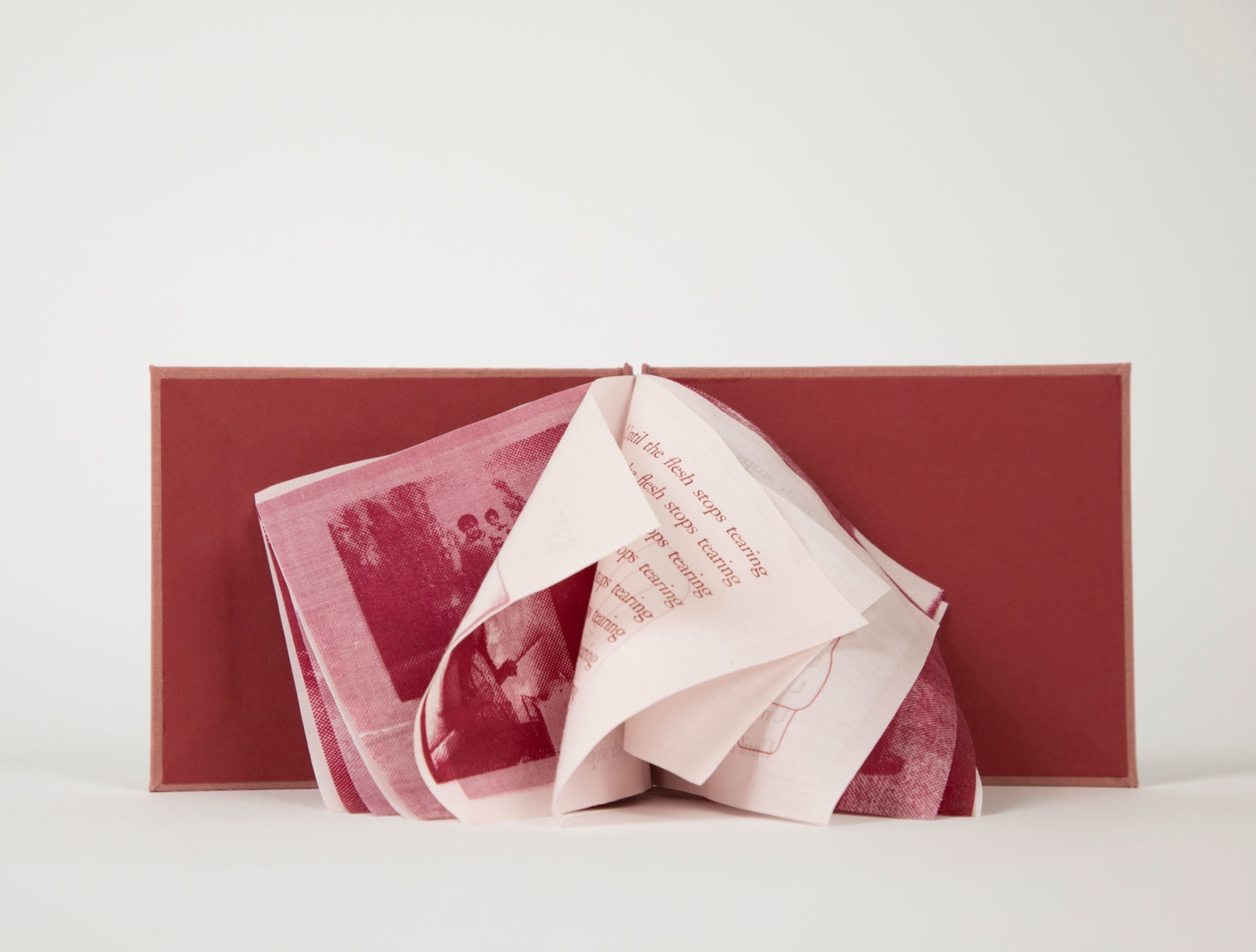 Débora Caro, Old Clots, 2021