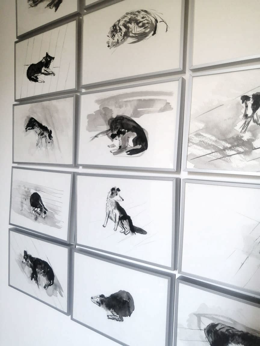Virginia Guilisasti, Serie Instante (Instant serie), 2024