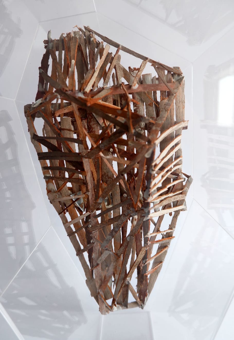 Virginia Guilisasti, Rostro (Face), 2024