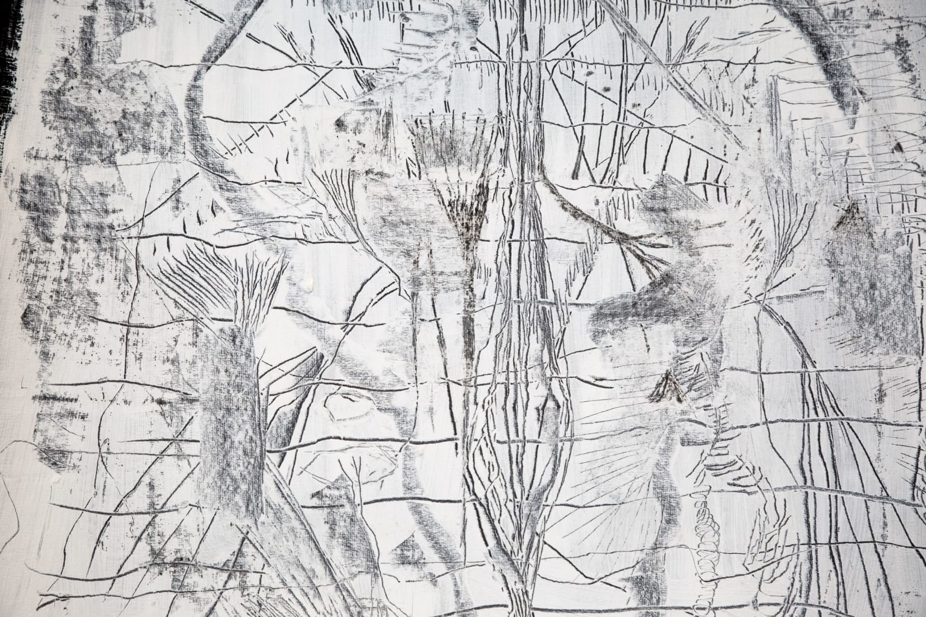 Virginia Guilisasti, Intermedio (In Between), 2024