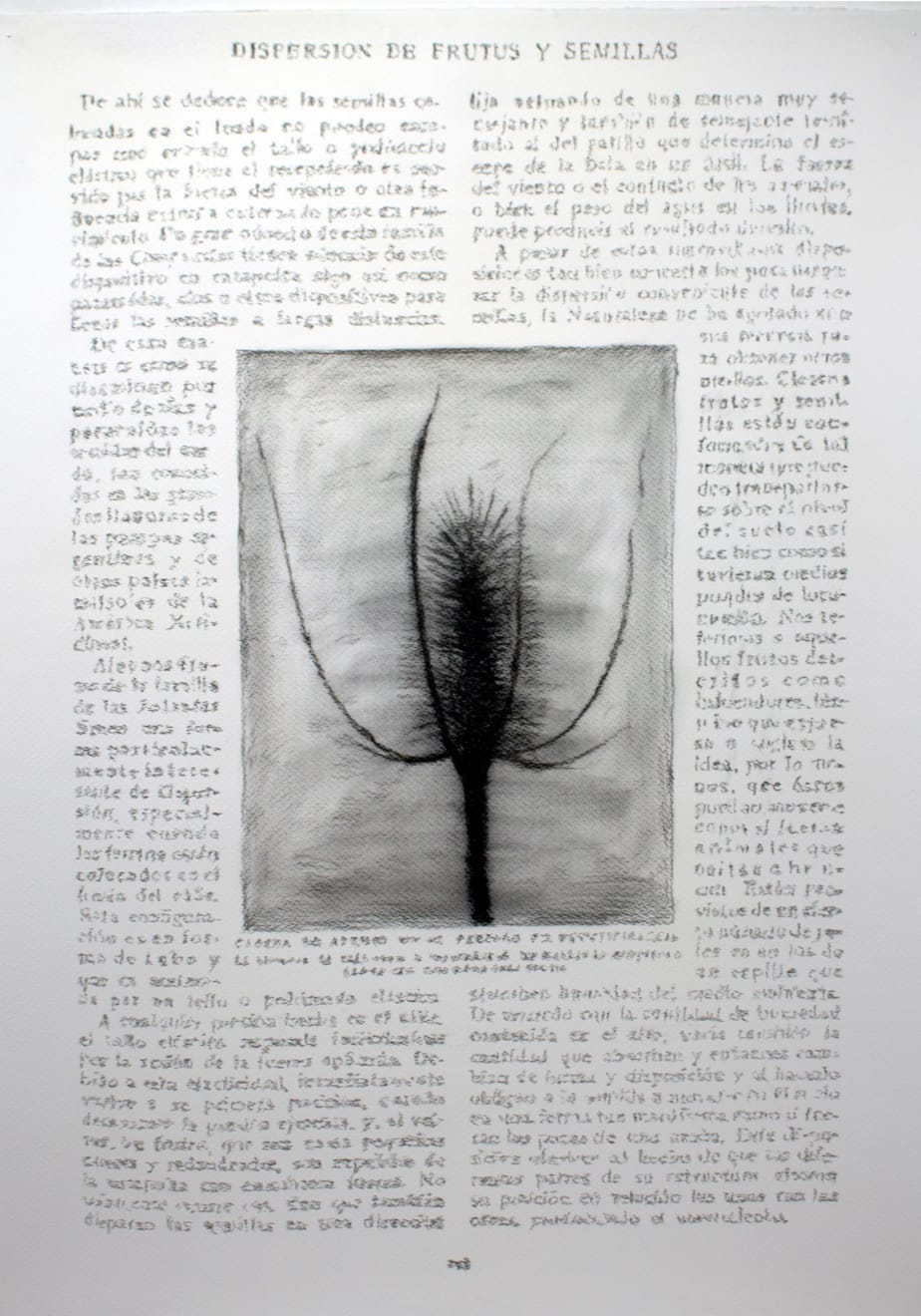 André Strahinja, Dispersión, 2018