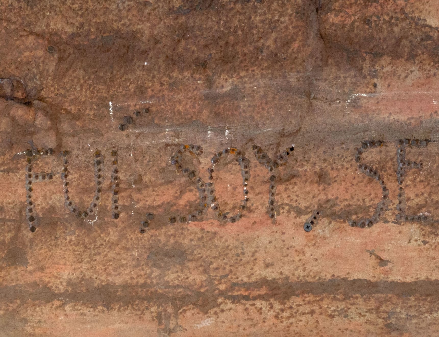 Virginia Guilisasti, Fui, Soy, Seré (I was, I am, I will be), 2018