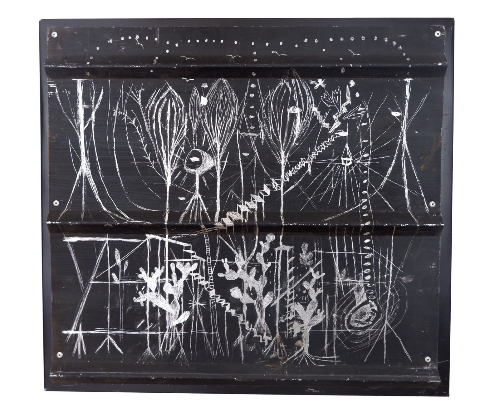 Virginia Guilisasti, Cactus, 2024