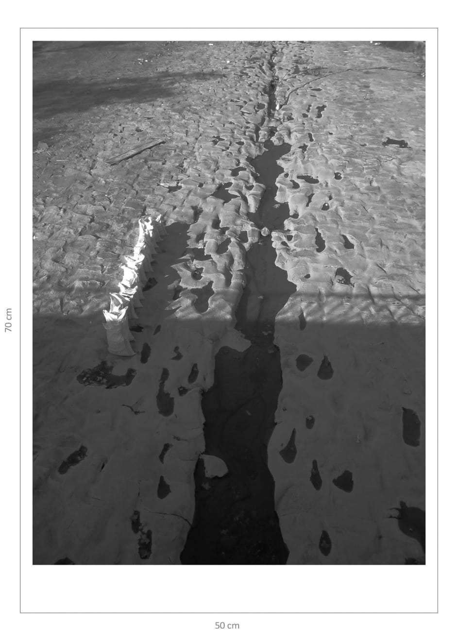 Sebastián Leyton, Río Mapocho, 2009