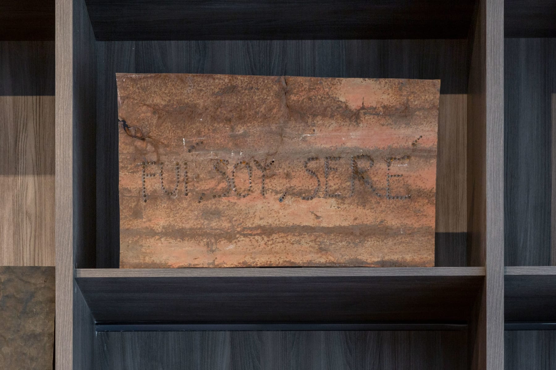 Virginia Guilisasti, Fui, Soy, Seré (I was, I am, I will be), 2018