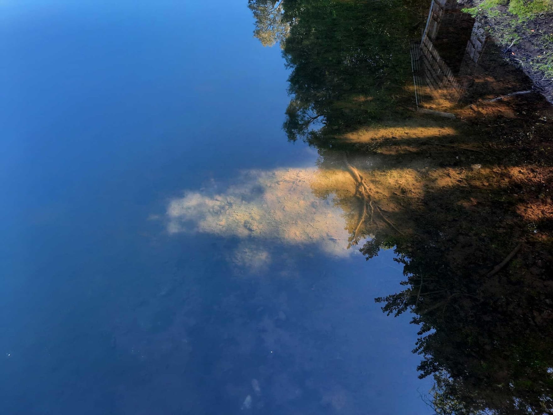 Catalina Torres, Junquillos, 2023