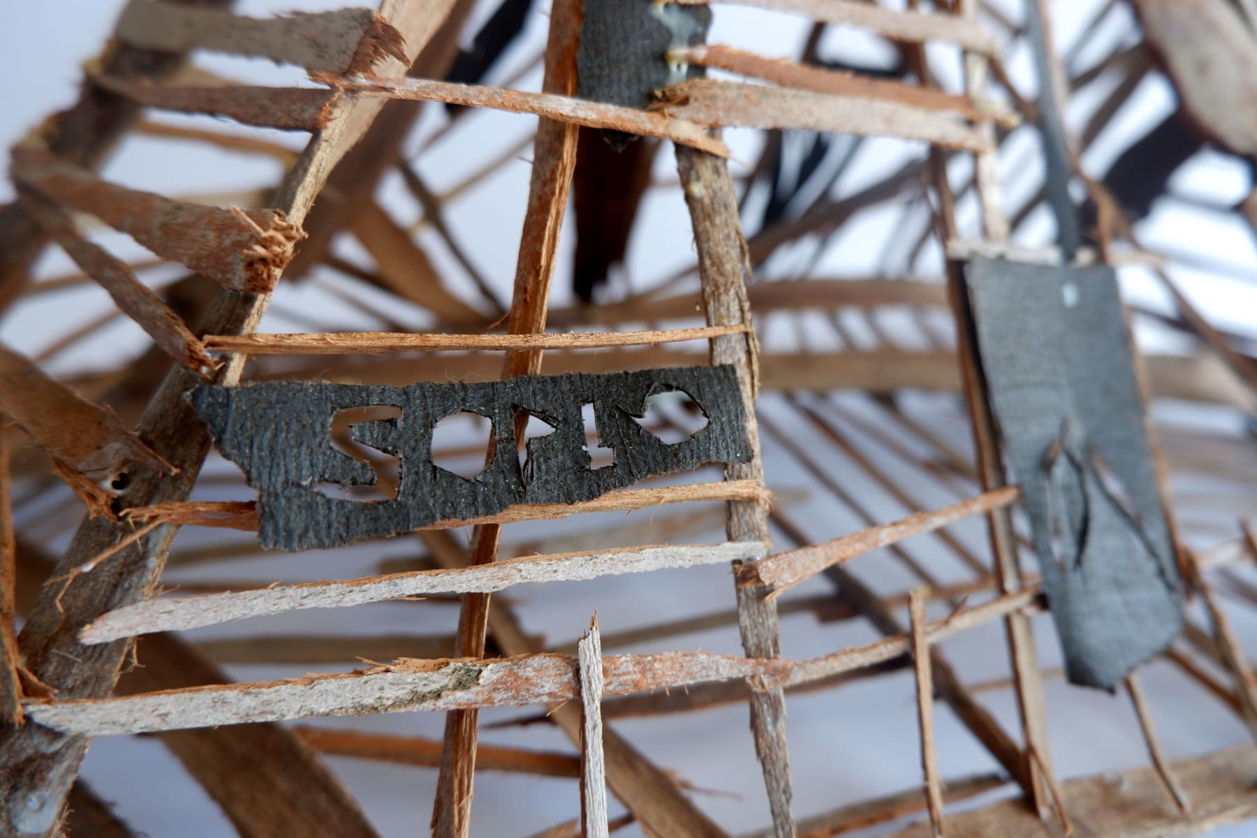 Virginia Guilisasti, Soplo (Breathe), 2024