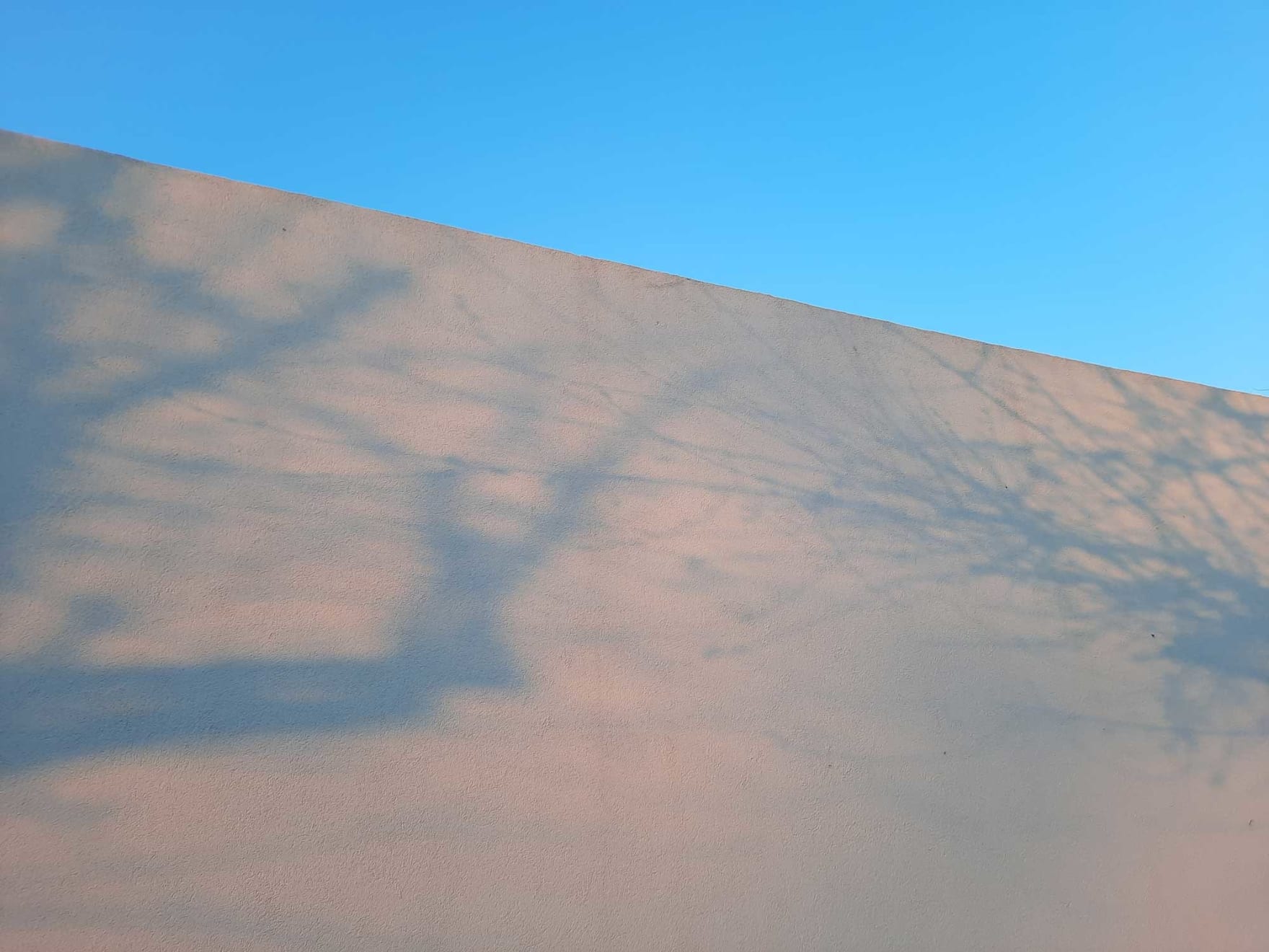 Catalina Torres, Caminata, 2021