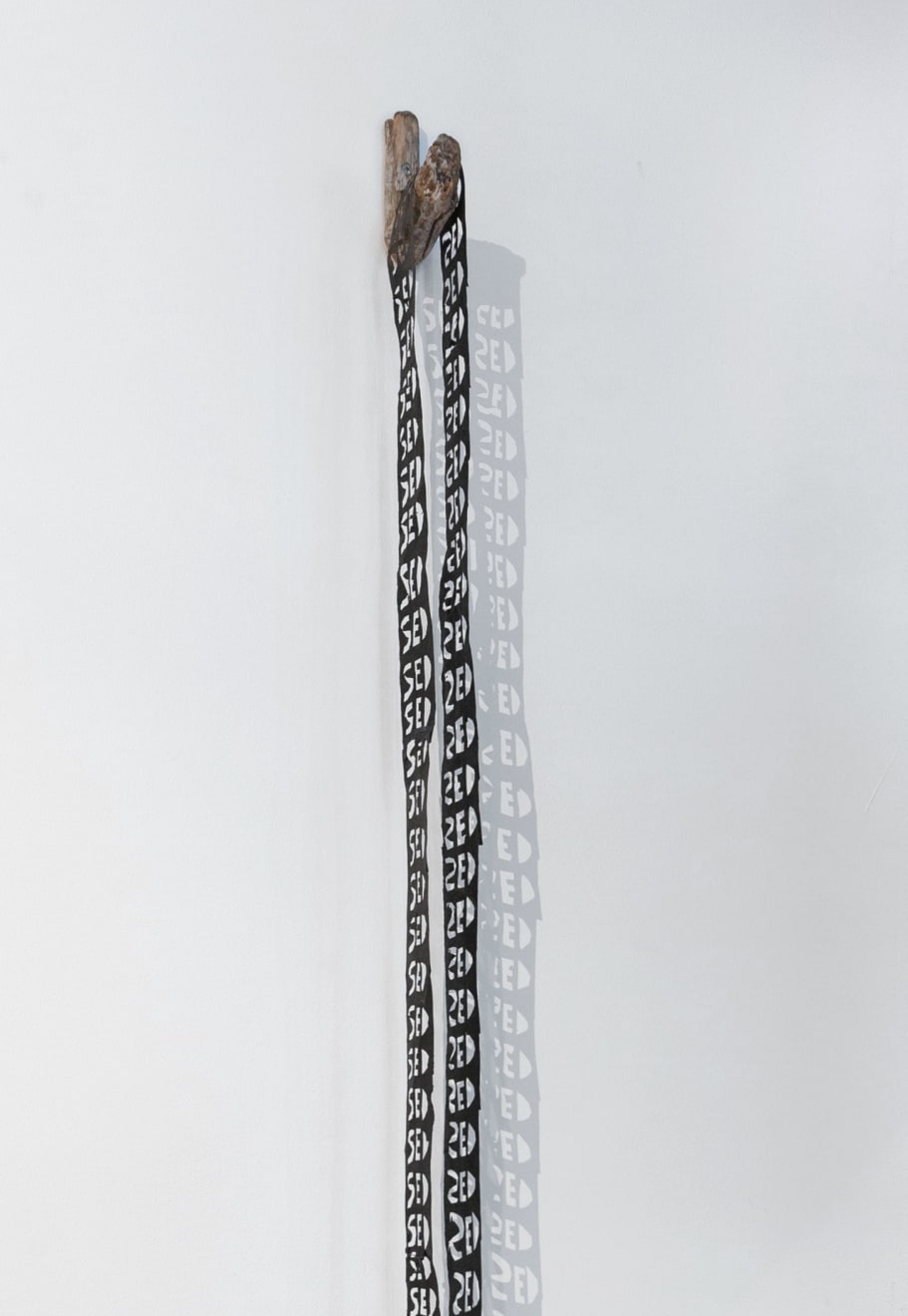 Virginia Guilisasti, Sed (Thirst), 2024