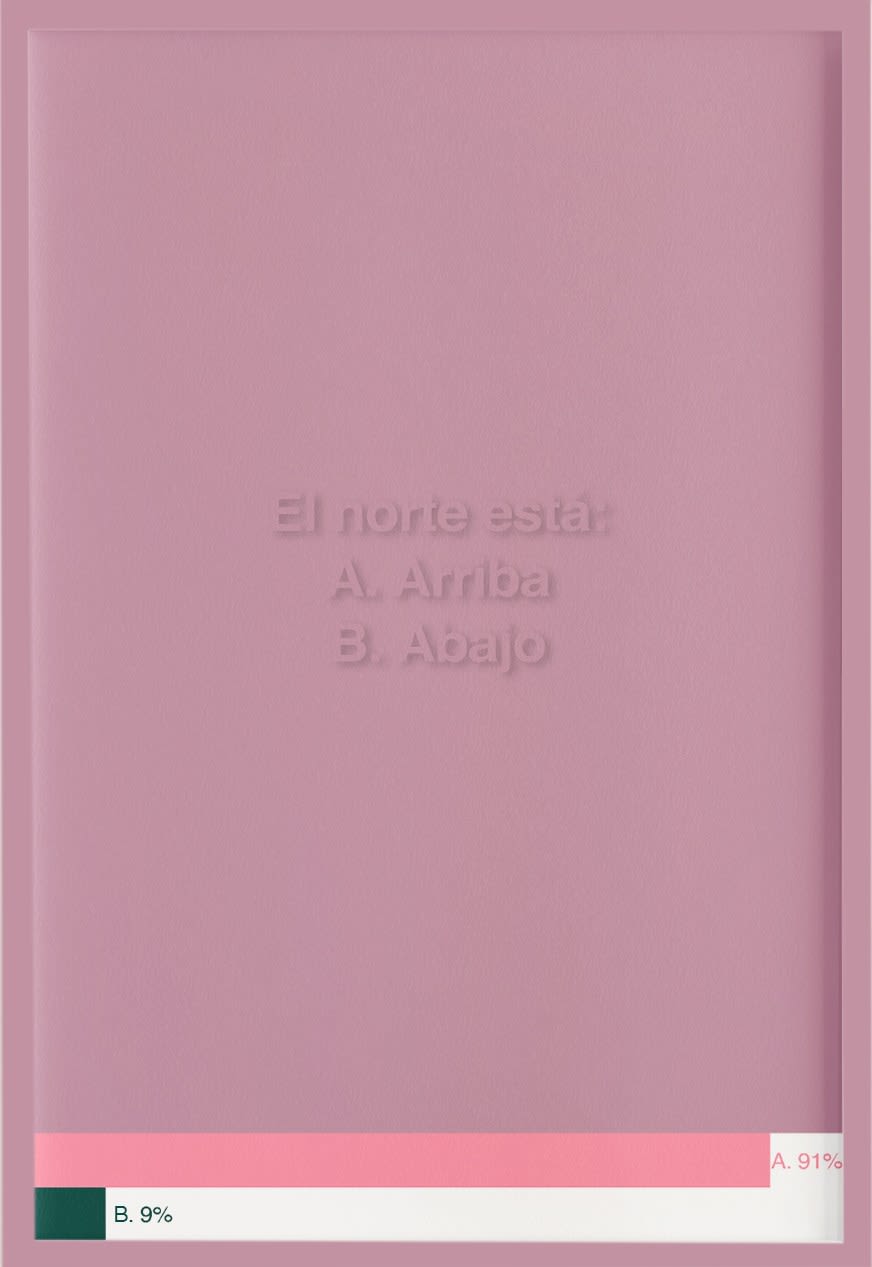 Catalina Torres, El norte está (North is), 2020