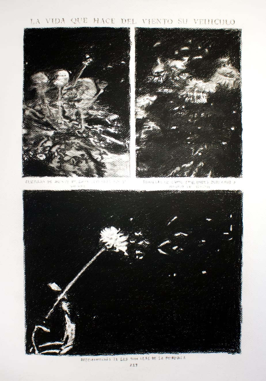 André Strahinja, La vida que hace del viento su vehículo, 2018