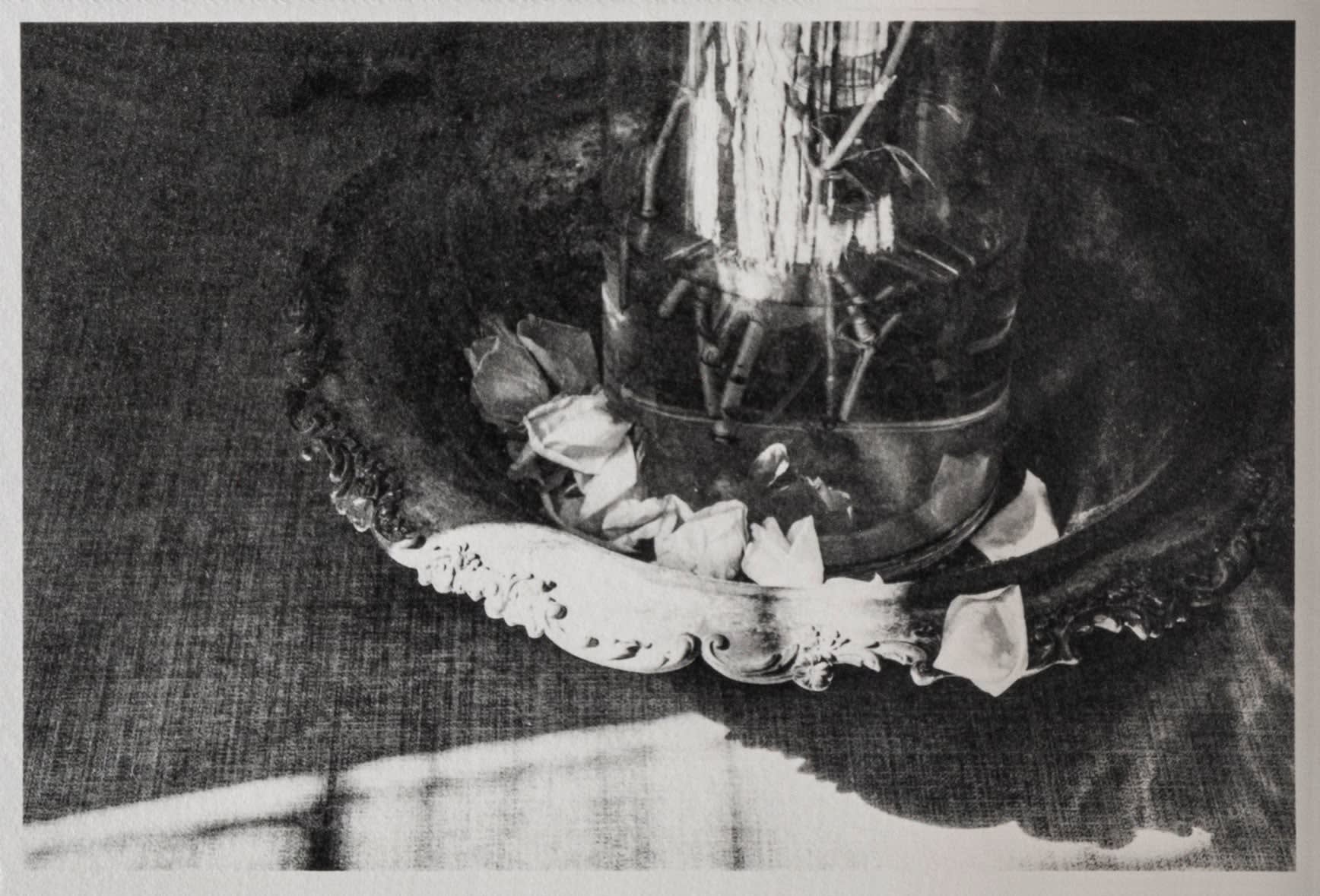 Pamela Fernández-Corujedo, Primera capa III, 2023