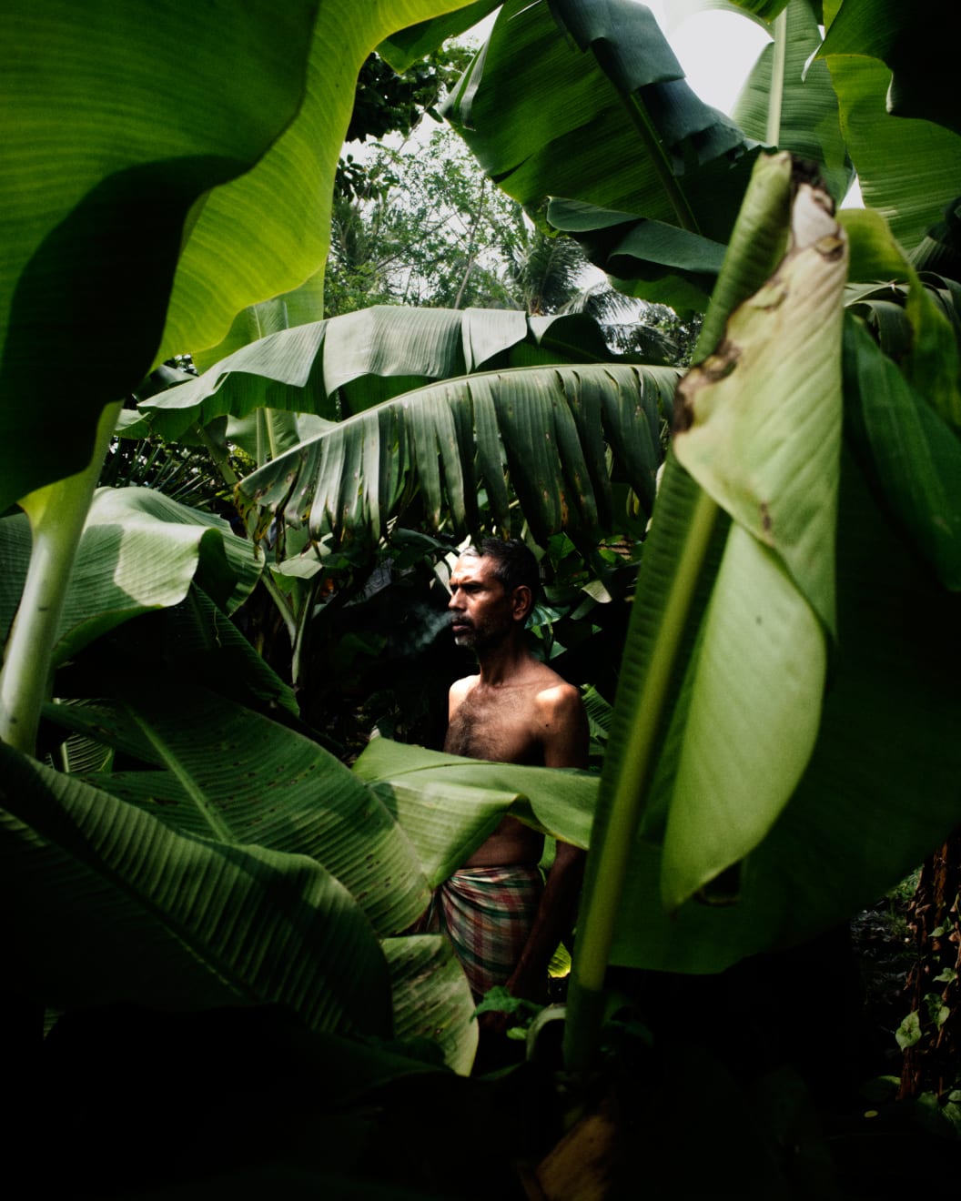 Soumya Sankar Bose, Where the Birds Never Sing, 2017-2020