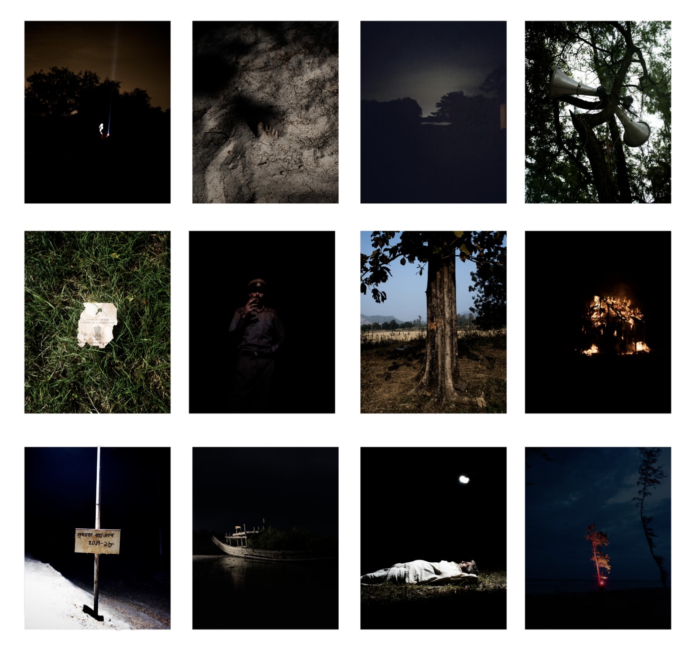Soumya Sankar Bose, Where the Birds Never Sing, 2017-2020