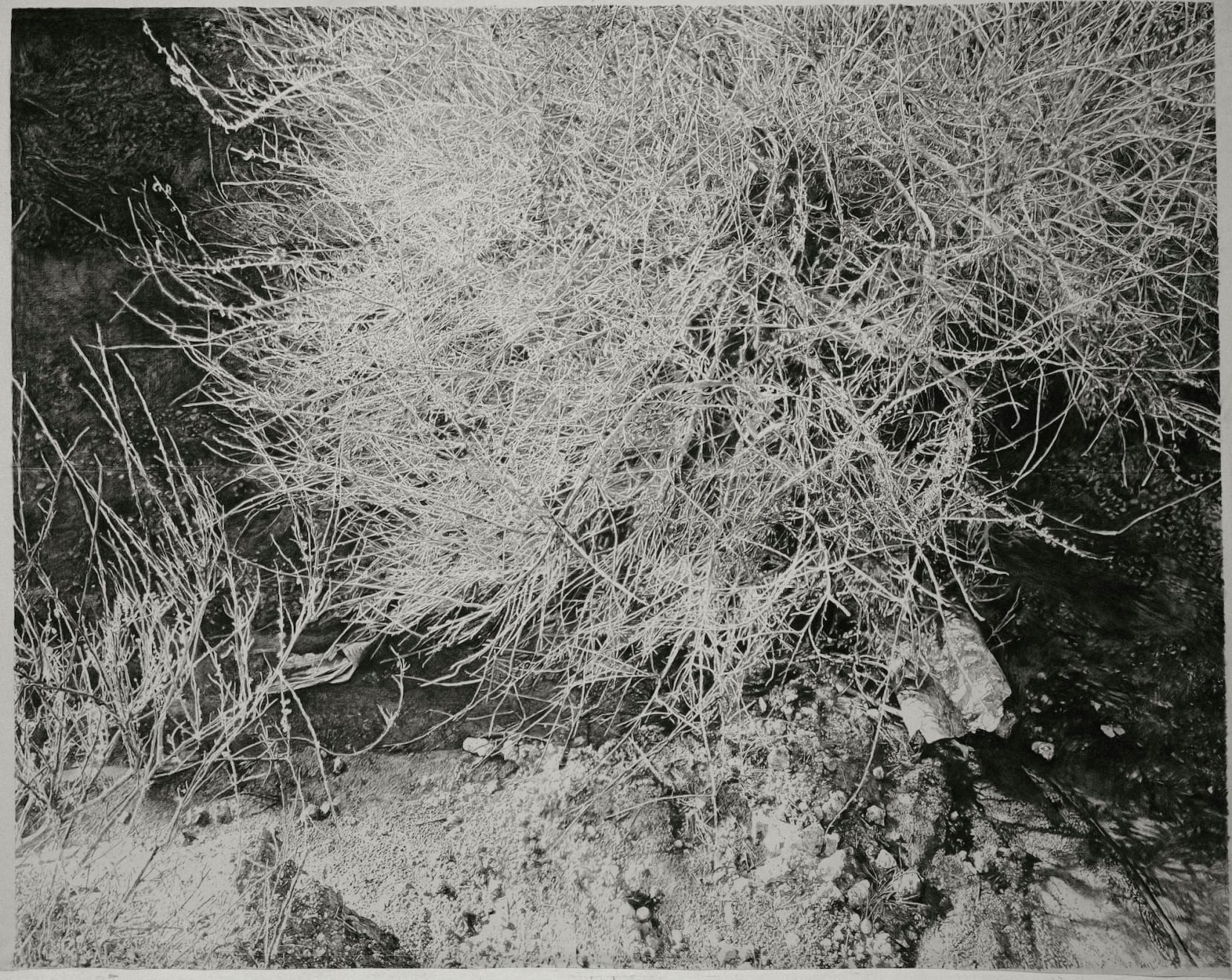 Julien Segard, The edge of memory VI, 2025