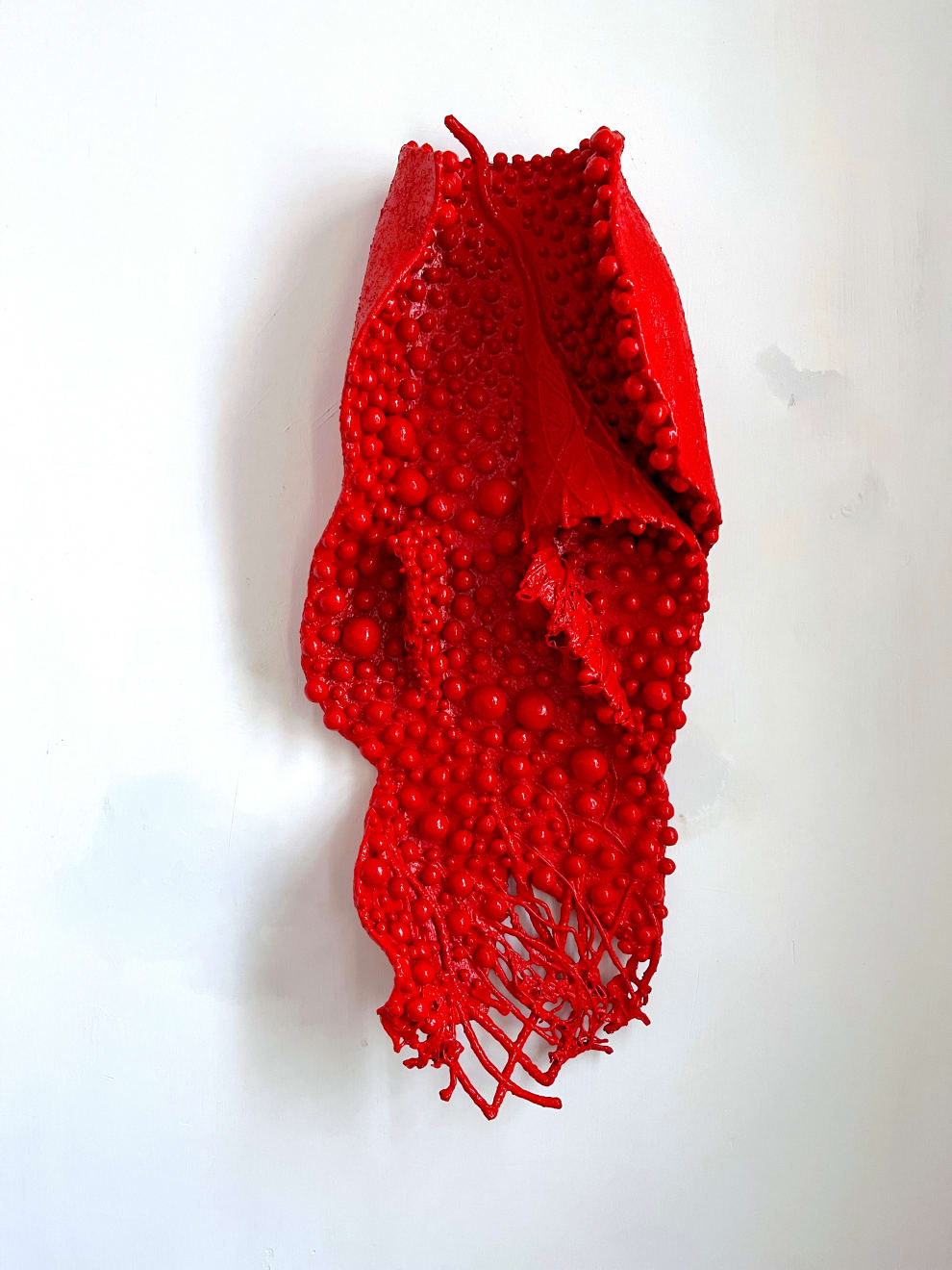 Pushpakanthan Pakkiyarajah, Wounded flowers, 2024-2025