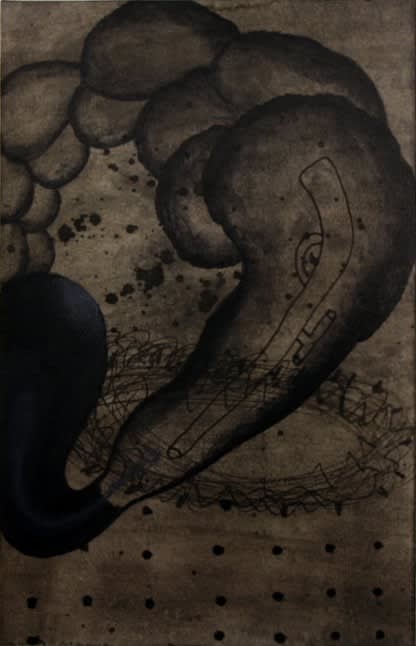 Pushpakanthan Pakkiyarajah, Dark diary, 2019-2021