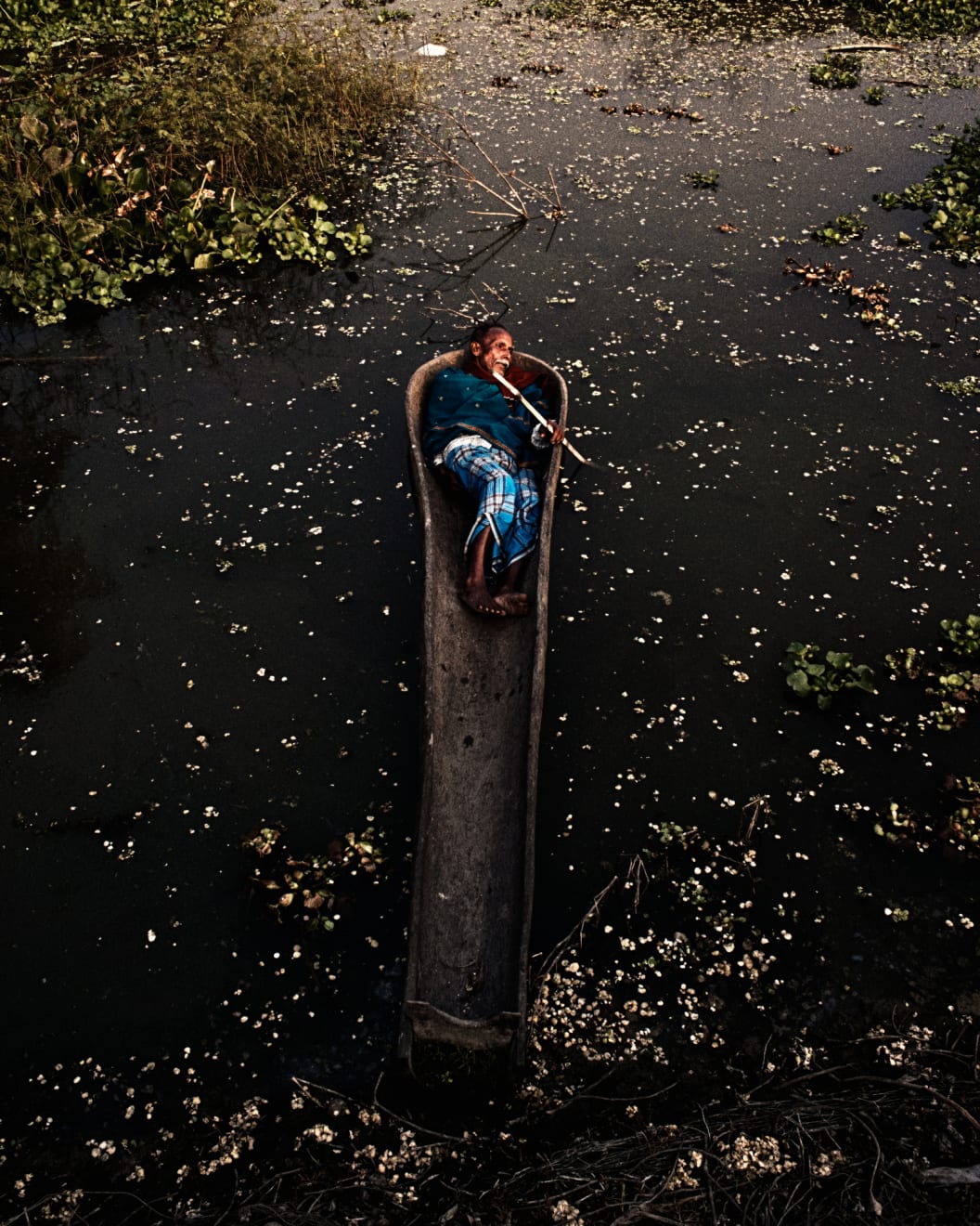 Soumya Sankar Bose, Where the Birds Never Sing, 2017-2020