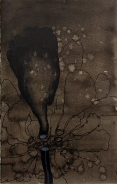 Pushpakanthan Pakkiyarajah, Dark diary, 2019-2021