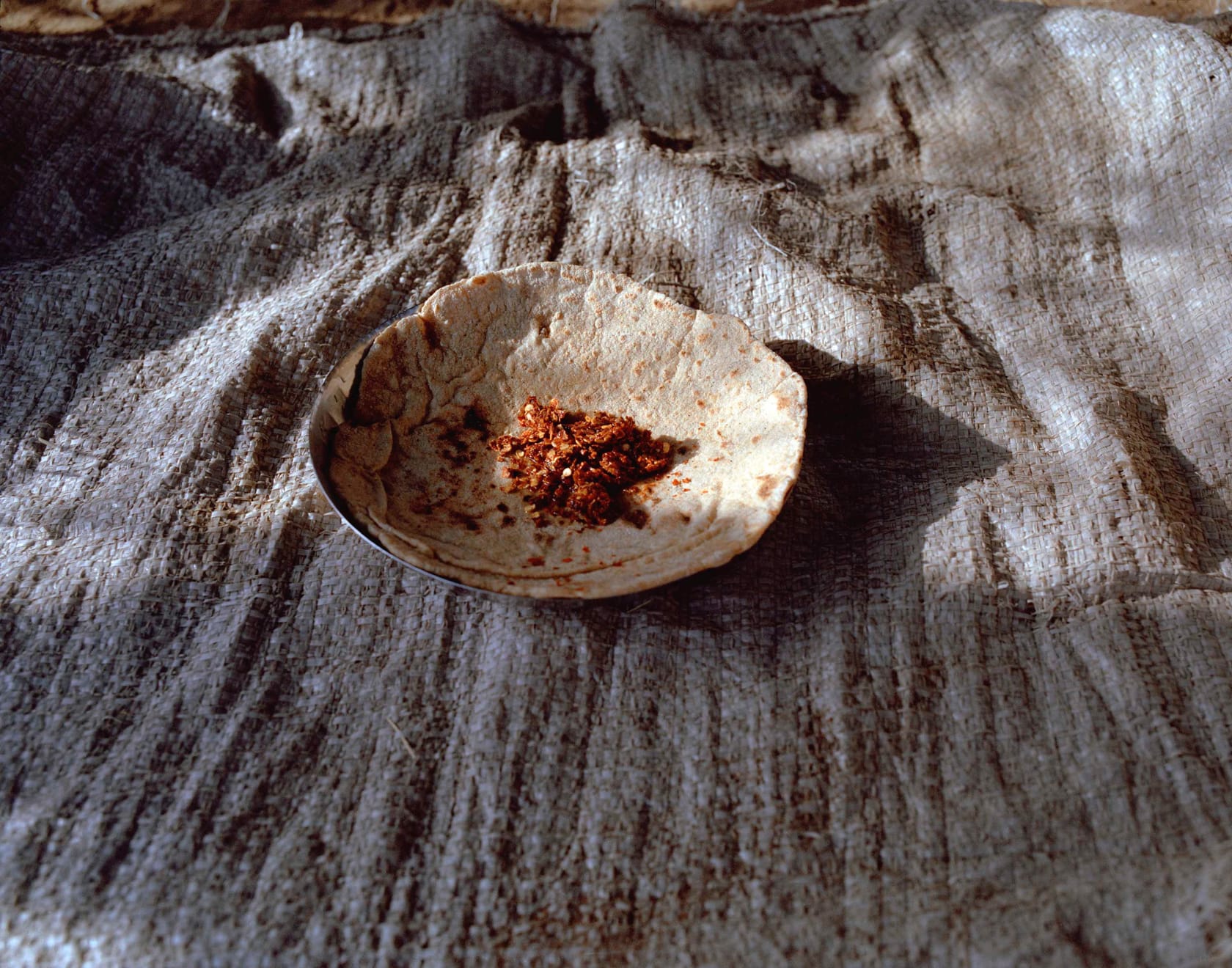 Sohrab Hura, The Song of Sparrows in a Hundred Days of Summer, 2013-2017