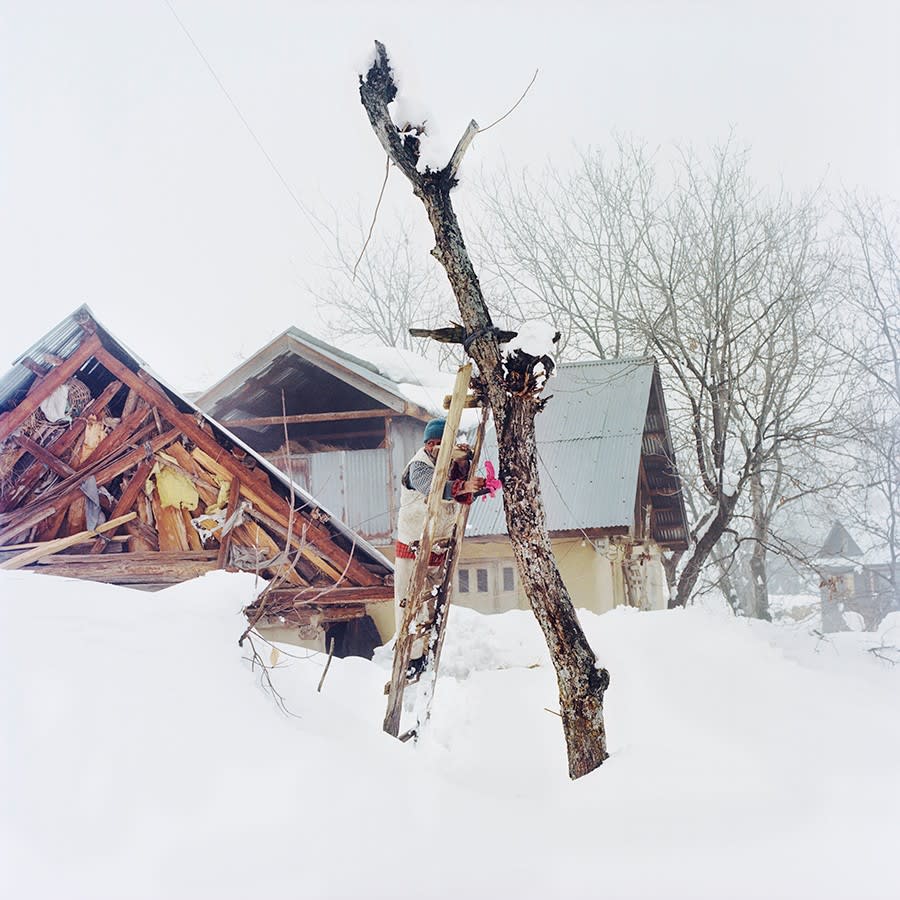 Sohrab Hura, Snow, 2015 - ongoing