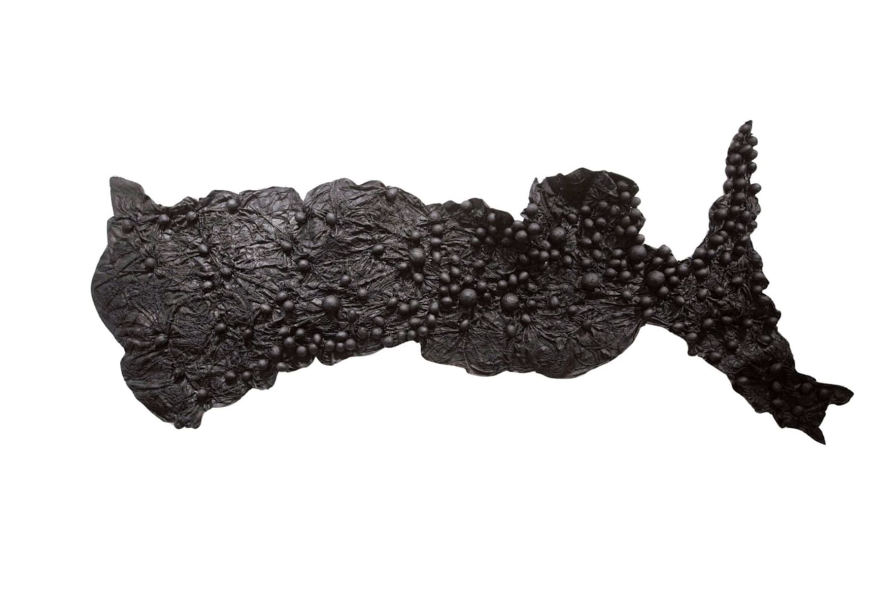 Pushpakanthan Pakkiyarajah, Charred hyphal mat, 2024-2025
