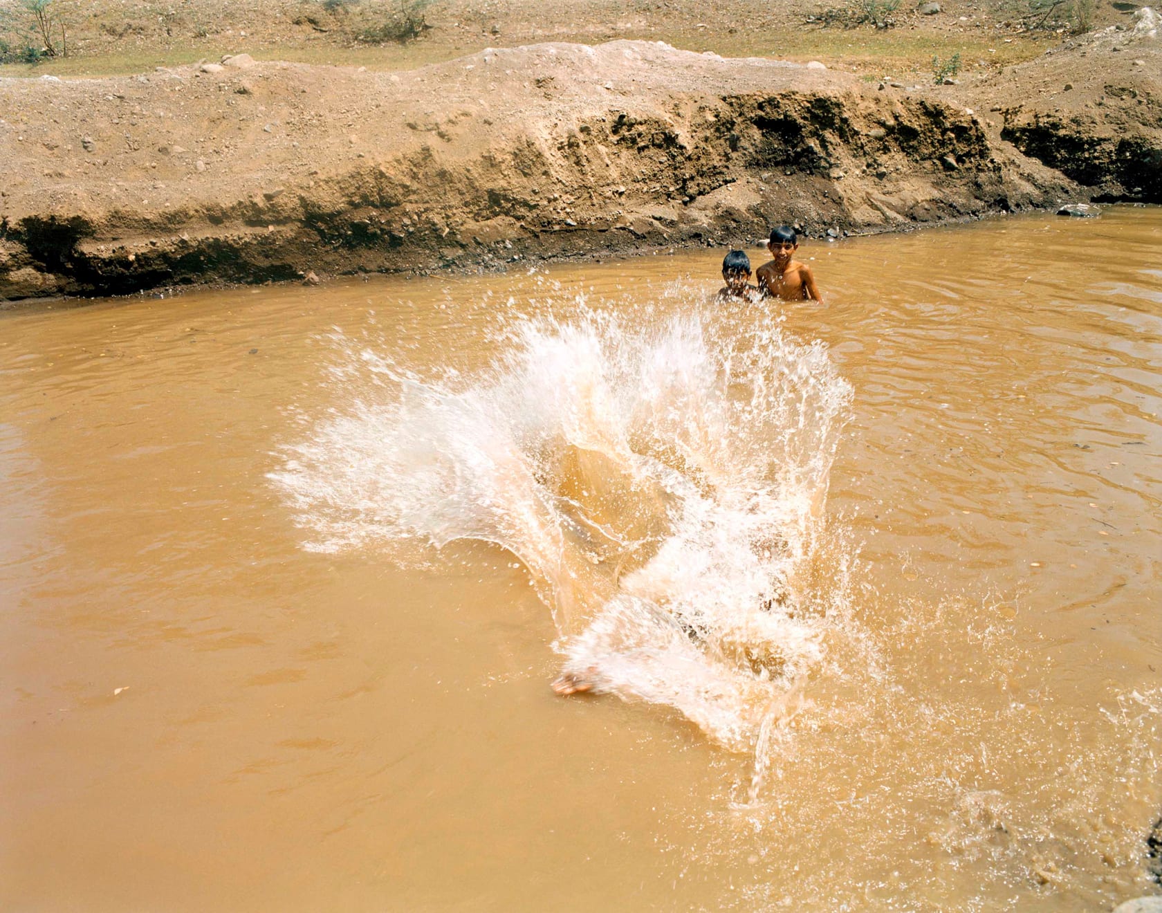 Sohrab Hura, The Song of Sparrows in a Hundred Days of Summer, 2013-2017