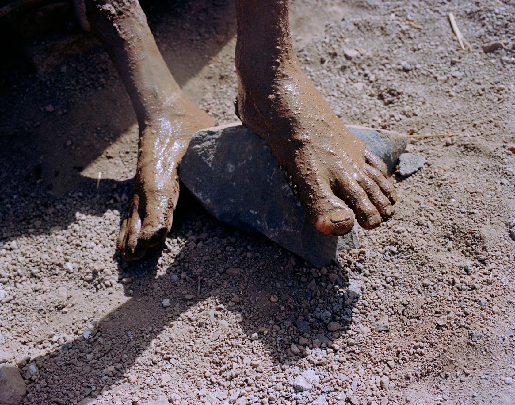 Sohrab Hura, The Song of Sparrows in a Hundred Days of Summer, 2013-2017