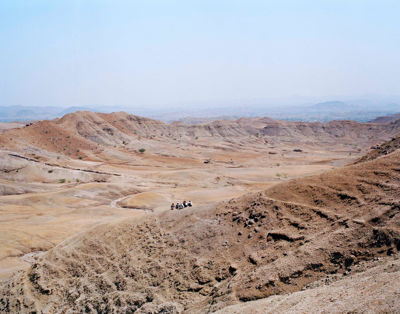 Sohrab Hura, The Song of Sparrows in a Hundred Days of Summer, 2013-2017