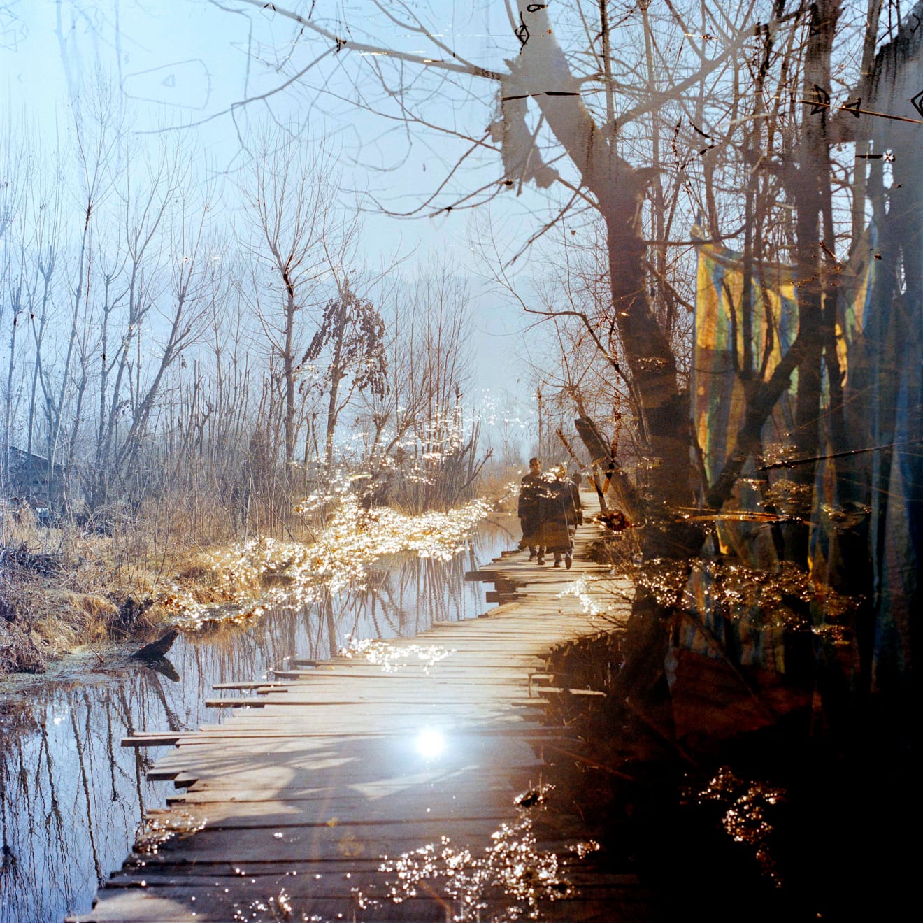 Sohrab Hura, Snow, 2015-2019