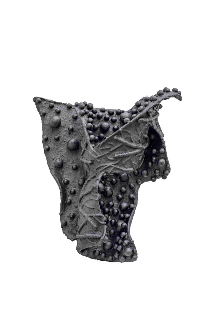 Pushpakanthan Pakkiyarajah, Wounded flowers, 2024-2025