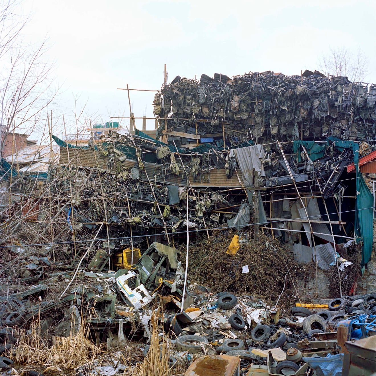 Sohrab Hura, Snow, 2015-2019