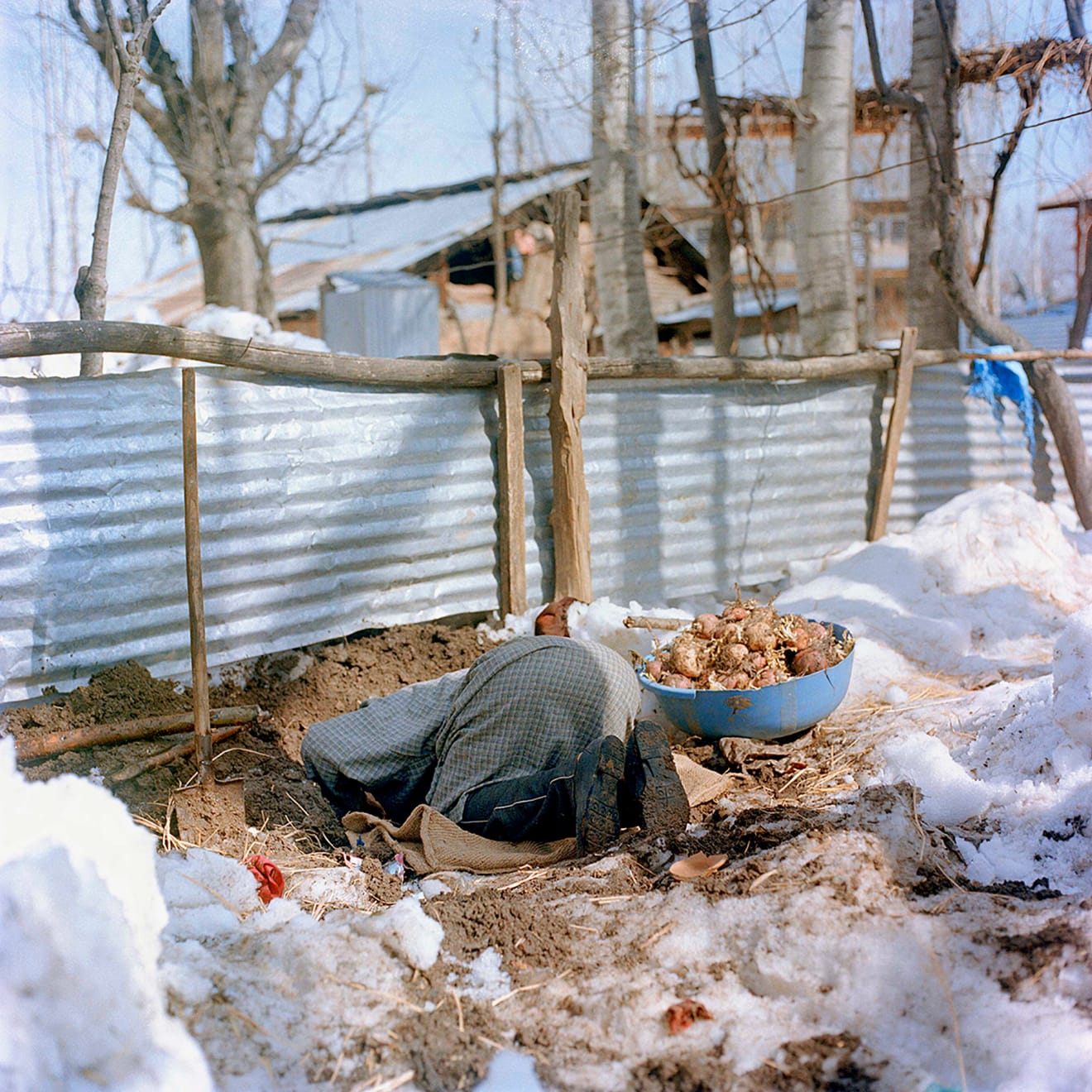 Sohrab Hura, Snow, 2015-2019