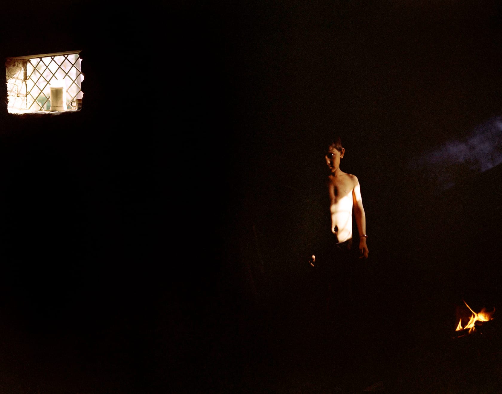 Sohrab Hura, The Song of Sparrows in a Hundred Days of Summer, 2013-2017