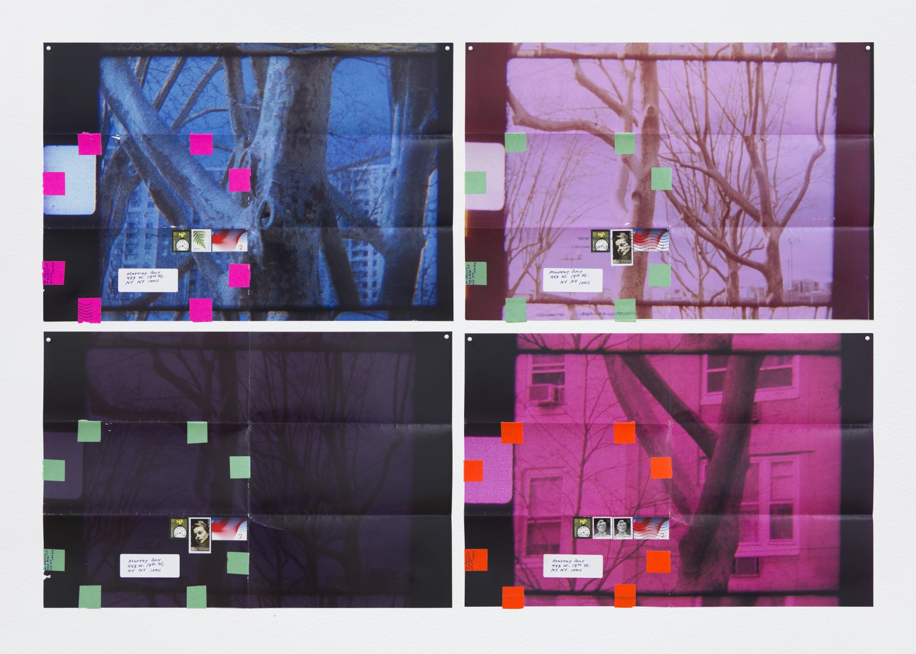 Moyra Davey, Four Trees, 2016