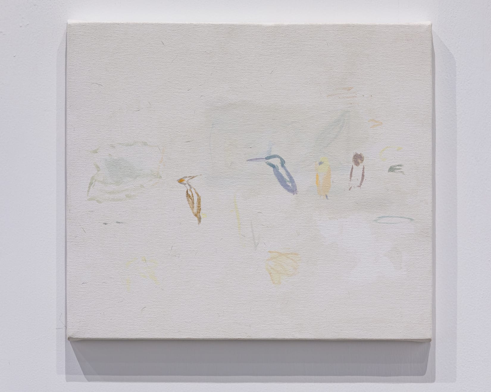 Shikh Sabbir Alam, Some birds are absent, 2024