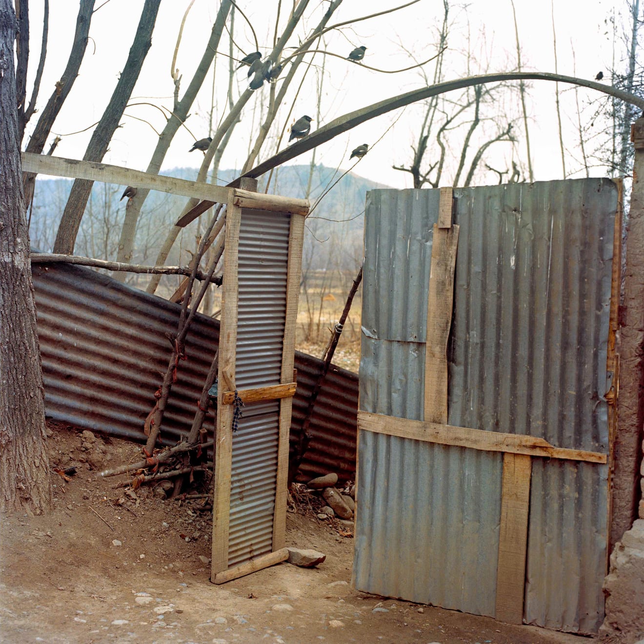 Sohrab Hura, Snow, 2015-2019