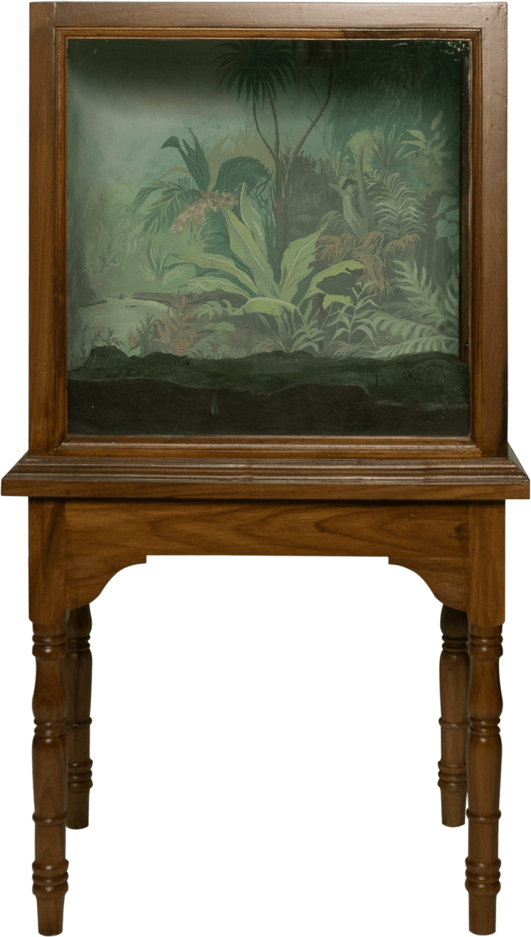 Sahil Naik, Rainforest after R. Kishan, 2023