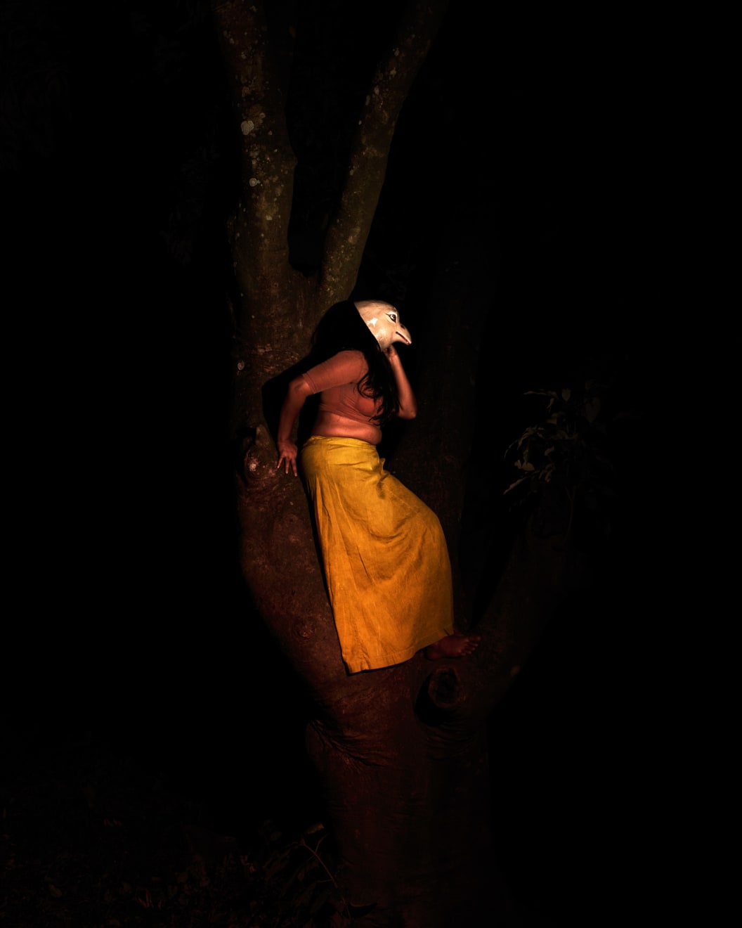 Soumya Sankar Bose, Where the Birds Never Sing, 2017-2020
