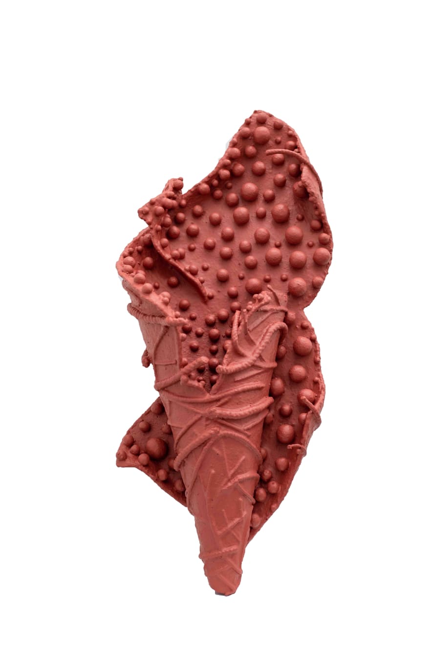 Pushpakanthan Pakkiyarajah, Wounded flowers, 2024-2025