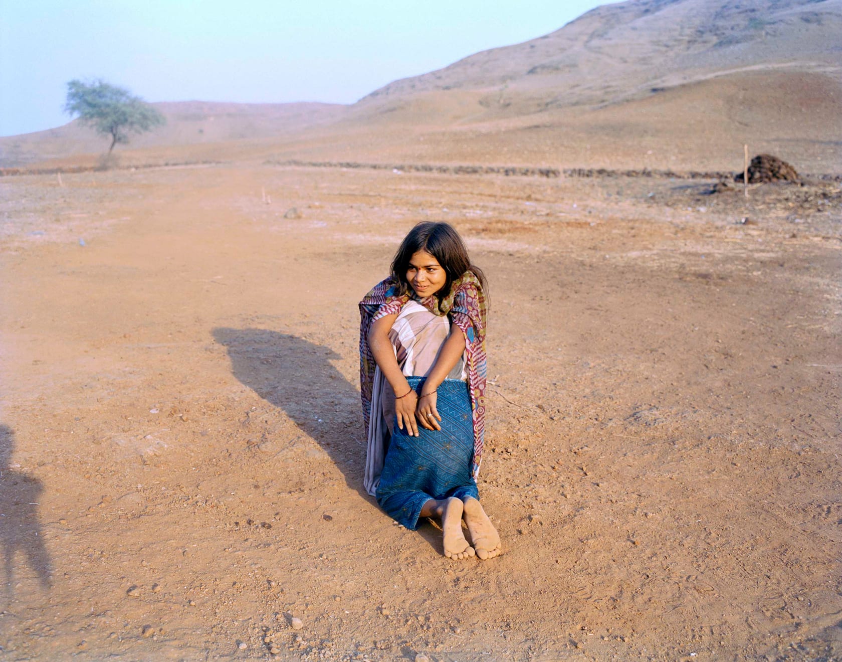 Sohrab Hura, The Song of Sparrows in a Hundred Days of Summer, 2013-2017