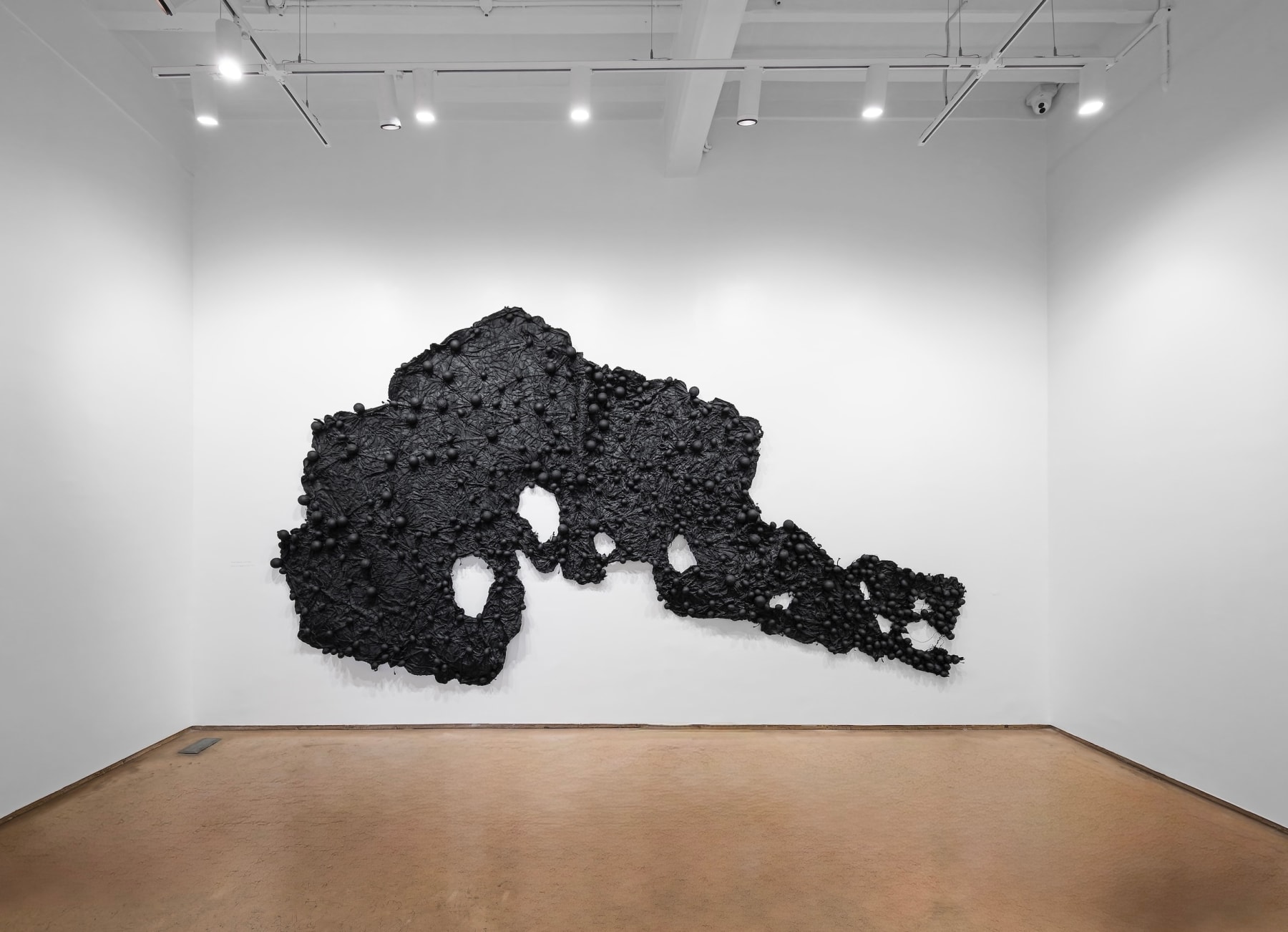 Pushpakanthan Pakkiyarajah, Charred hyphal mat, 2024-2025