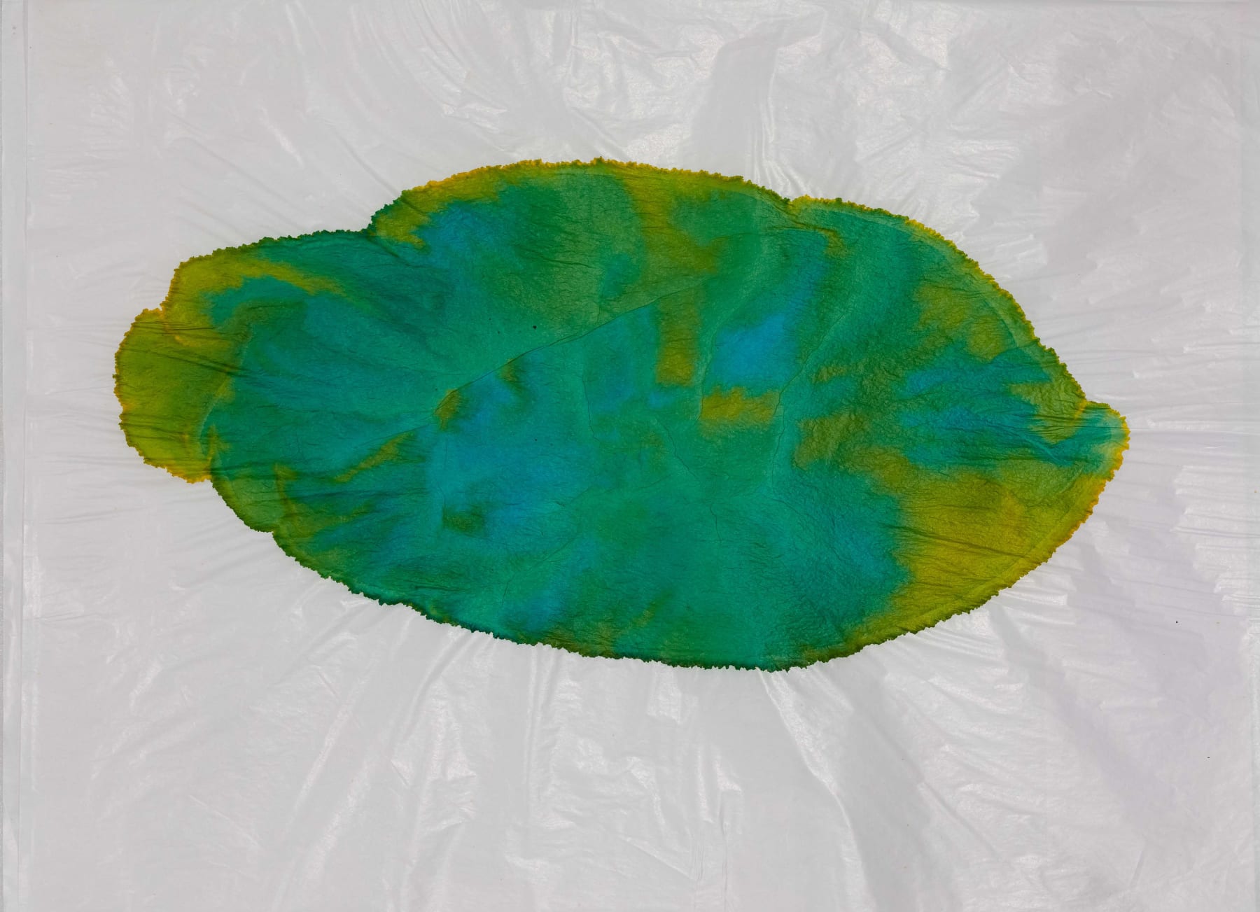 Ayesha Sultana, Inhabiting Our Bodies 29, 2024