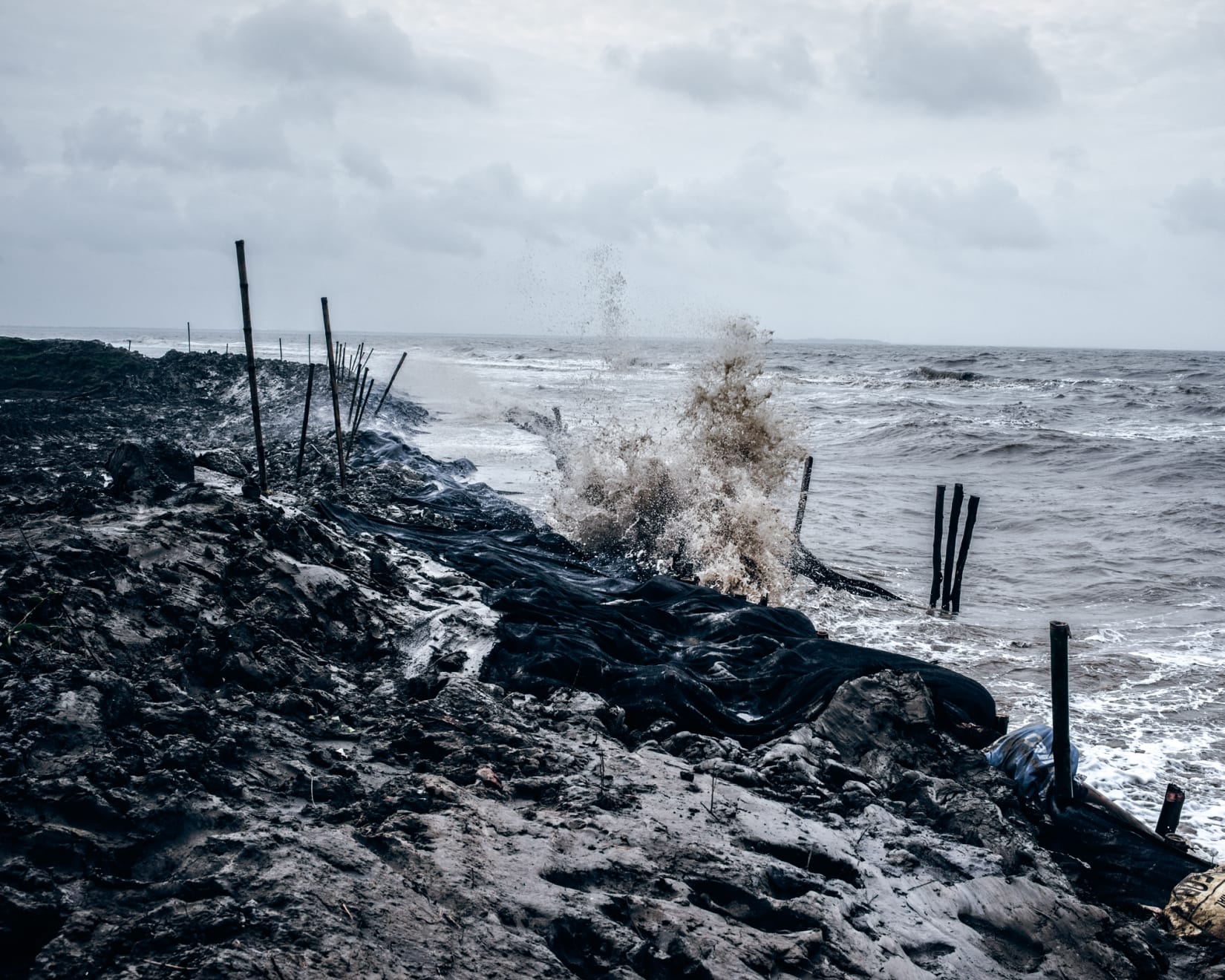 Soumya Sankar Bose, Where the Birds Never Sing, 2017-2020