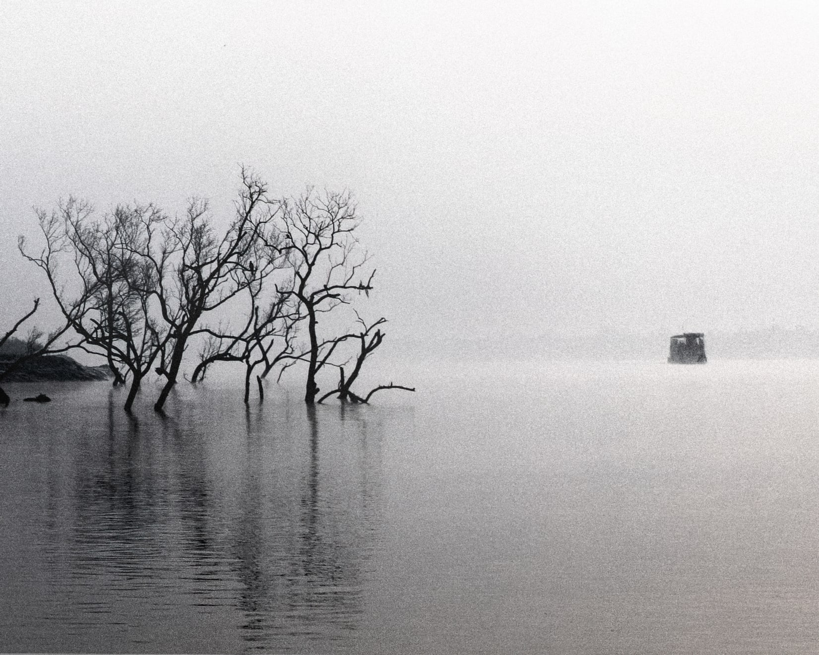 Soumya Sankar Bose, Where the Birds Never Sing, 2017-2020