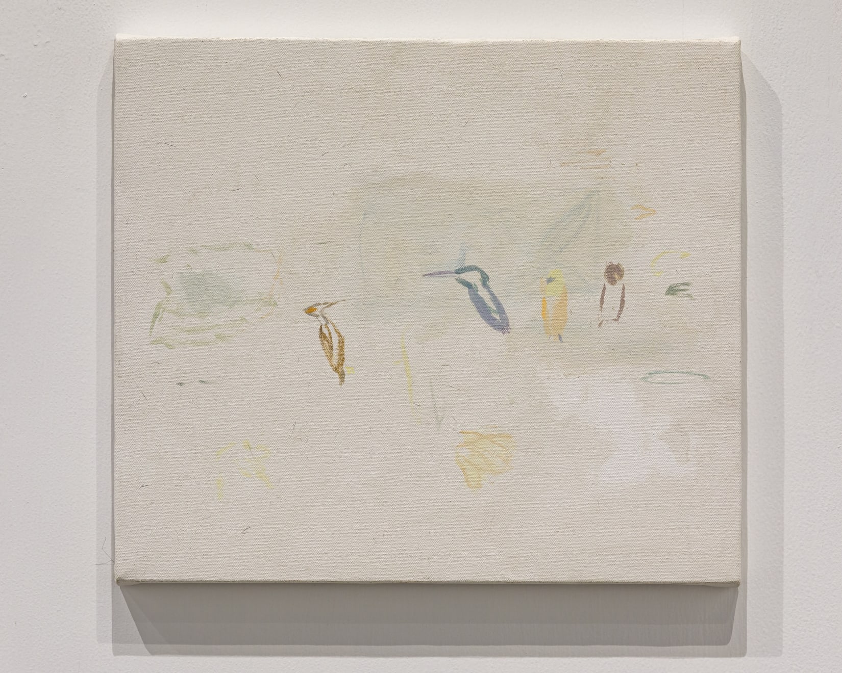 Shikh Sabbir Alam, Some birds are absent, 2024