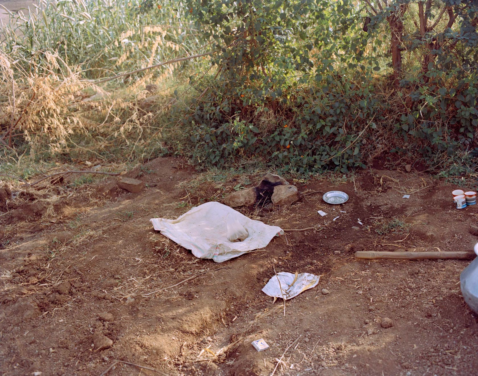 Sohrab Hura, The Song of Sparrows in a Hundred Days of Summer, 2013-2017