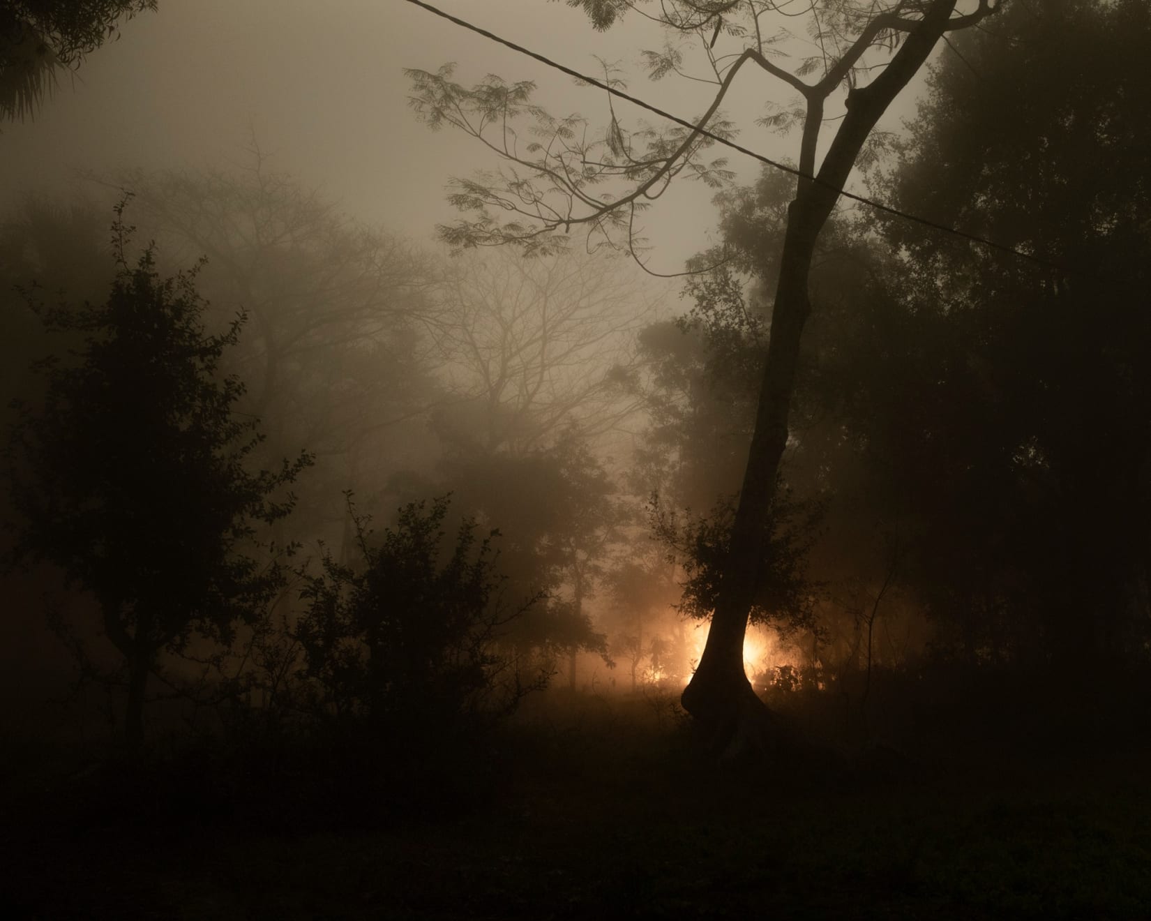 Soumya Sankar Bose, A Discreet Exit Through Darkness, 2020 - Ongoing