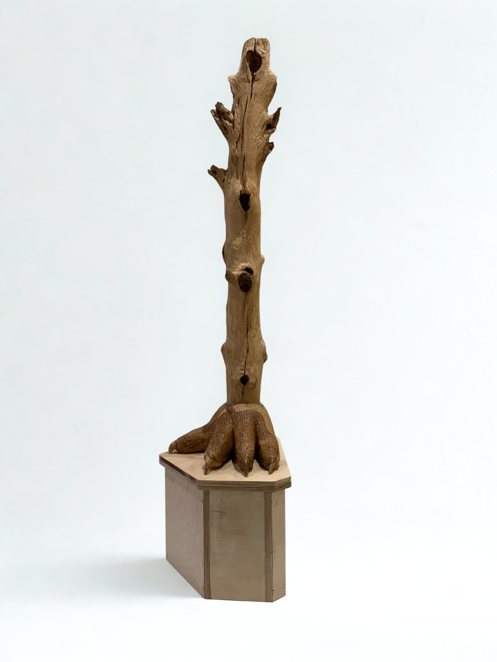 Prabhakar Pachpute, A flame of the forest (A series of an observer), 2023-25